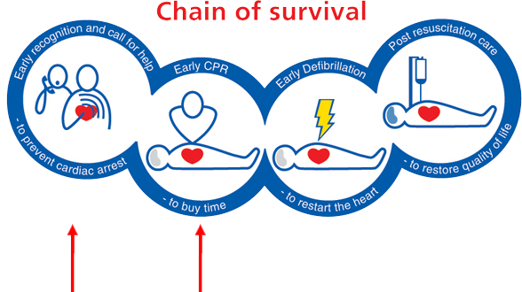The chain of survival.