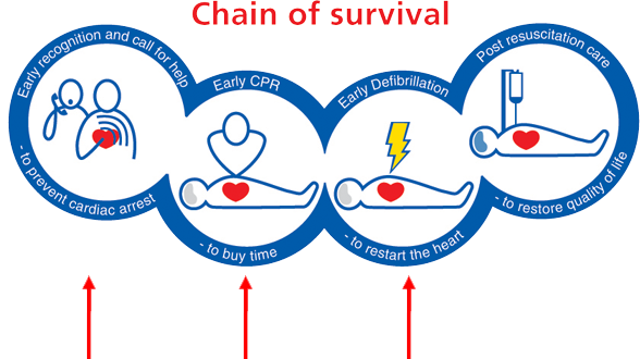 The chain of survival.