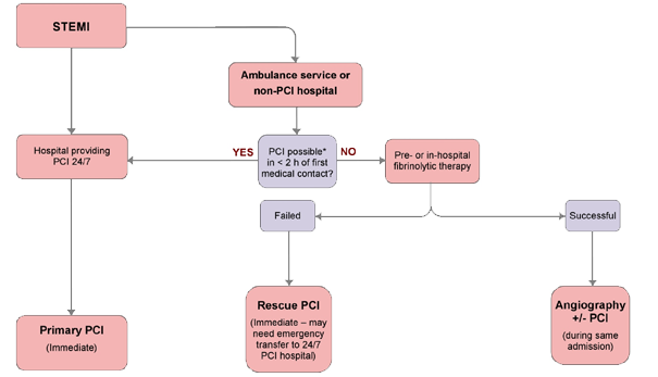 <p>An algorithm to show the access pathway to reperfusion therapy for STEMI. </p><p></p>