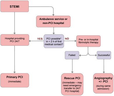 An algorithm to show the access pathway to reperfusion therapy for STEMI.