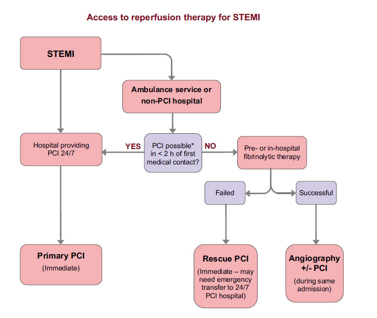 Access to reperfusion therapy for STEMI algorithm.