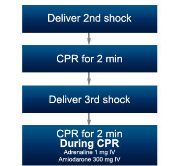 A flow diagram to show what to do if VF/VT persists: 1. Deliver 2nd shock, 2. CPR for 2 minutes, 3. Deliver 3rd shock, 4. CPR for 2 minutes. During CPR, Adrenaline 1mg IV, Amiodarone 300mg IV.
