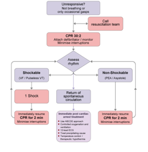 Resuscitation Council UK Advanced Life Support Using The ALS Resuscitation Council UK Advanced Life Support Using The ALS