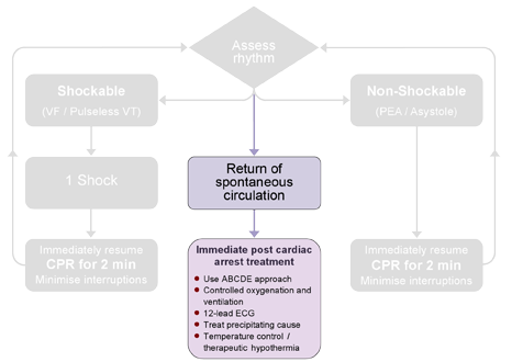 A diagram highlighting the return of spontaneous circulation during resuscitation; marking the start of the post resuscitation care phase.