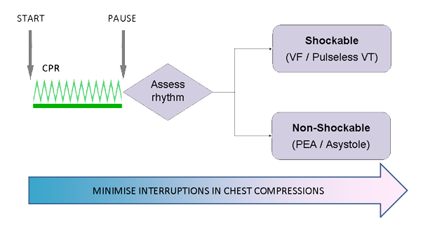 A flow diagram to show the process of CPR.