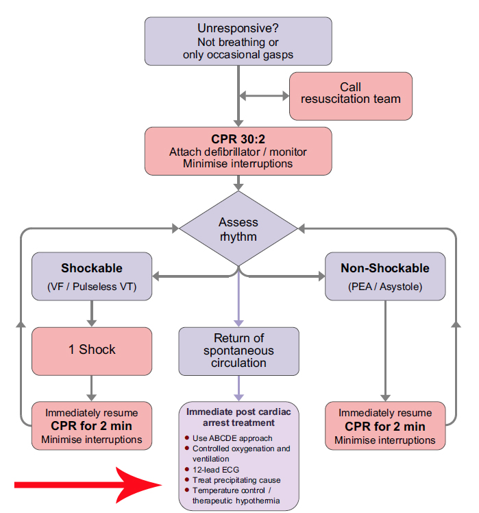 The Adult Advanced Life Support Algorithm.