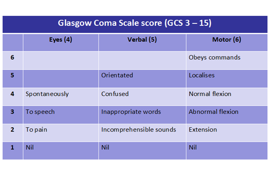 The Glasgow Coma Scale table.