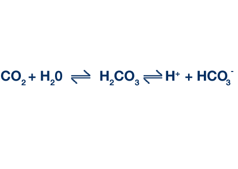 The respiratory metabolic link equation: CO2 plus H20 reaction equilibrium symbol H2CO3 reaction equilibrium symbol H positive plus HCO3negative.