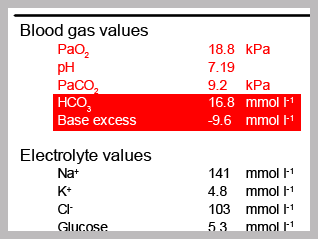 A picture of a patient’s ABG printout with the bicarbonate/ base excess circled. 