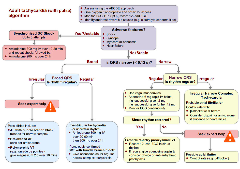 The tachycardia algorithm is available in chapter 11 of the ALS manual.