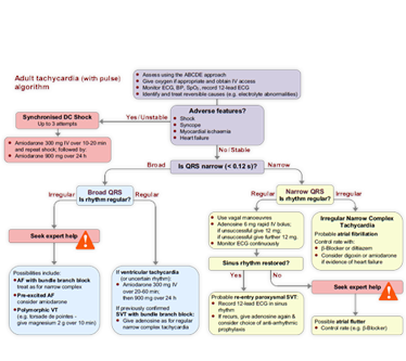 This is the tachycardia algorithm. Please refer to figure 11.1 on page 107 of the ALS manual.