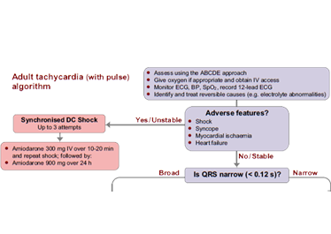 This is the tachycardia algorithm. Please refer to figure 11.1 on page 107 of the ALS manual.