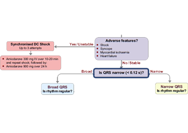 This is the tachycardia algorithm. Please refer to figure 11.1 on page 107 of the ALS manual.