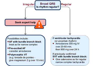 This is the tachycardia algorithm. Please refer to figure 11.1 on page 107 of the ALS manual.