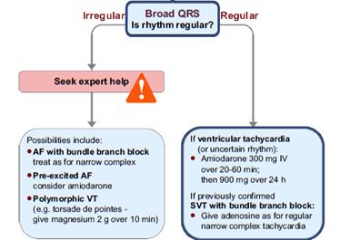 This is the tachycardia algorithm. Please refer to figure 11.1 on page 107 of the ALS manual.