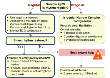 This is the tachycardia algorithm. Please refer to figure 11.1 on page 107 of the ALS manual.