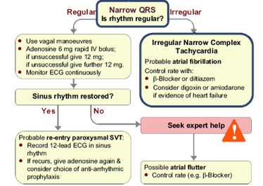 This is the tachycardia algorithm. Please refer to figure 11.1 on page 107 of the ALS manual.