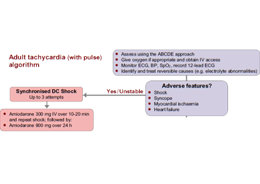 A section from the tachycardia algorithm. The tachycardia algorithm can be found in chapter 11 (page 107) of the ALS manual. 