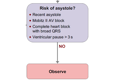 A section from the adult bradycardia algorithm. The bradycardia algorithm can be found in chapter 11 (page 111) of the ALS manual.