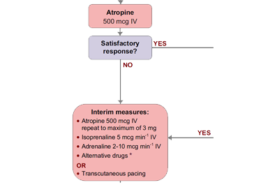 A section from the adult bradycardia algorithm. The bradycardia algorithm can be found in chapter 11 (page 111) of the ALS manual.