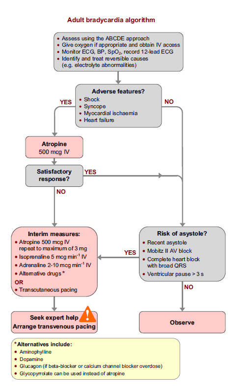 The bradycardia algorithm can be found in chapter 11 of the ALS manual.