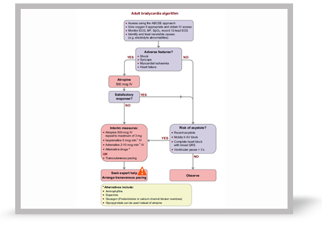 A smaller image of the bradycardia algorithm.