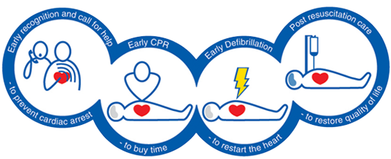 The chain of survival, a step by step diagram of the resuscitation process.